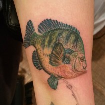 Realistic fish tattoo