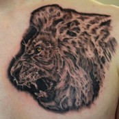 lion profile tattoo